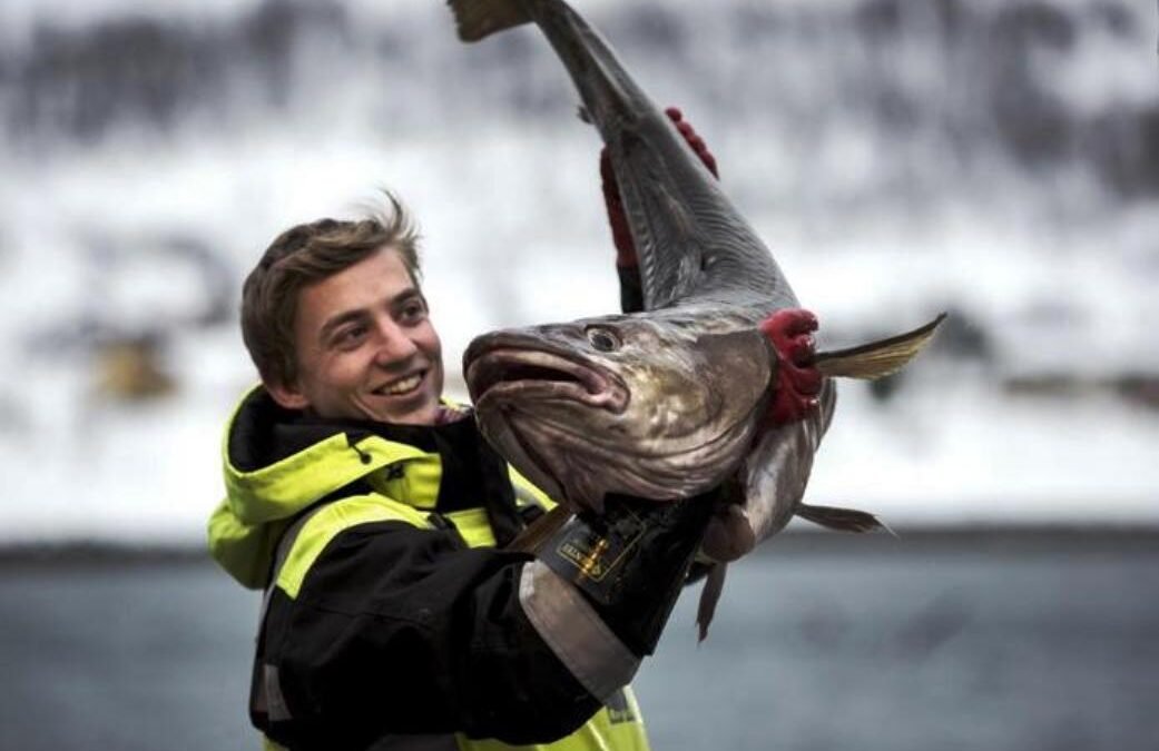 ¿Qué es el bacalao skrei?